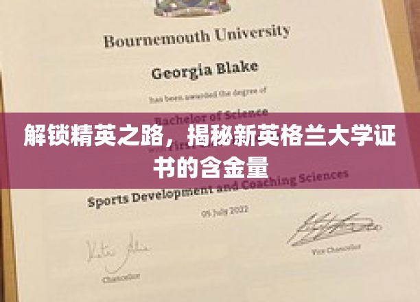 解锁精英之路，揭秘新英格兰大学证书的含金量