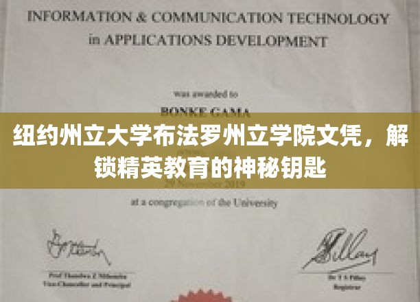 解锁精英之门，纽约州立布法罗学院文凭的非凡价值