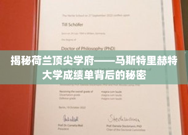 揭秘荷兰顶尖学府——马斯特里赫特大学成绩单背后的秘密