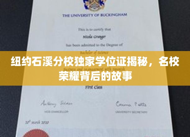石溪分校学位证之谜，一探纽约名校背后的荣耀历程