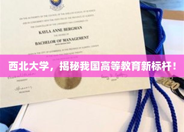 西北大学，我国高等教育的新标杆！