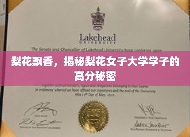 梨花香里探秘，梨花女子大学学子如何绽放高分魅力