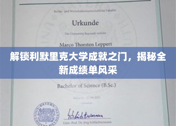 探寻利默里克大学新篇章，一睹成绩单革新风采