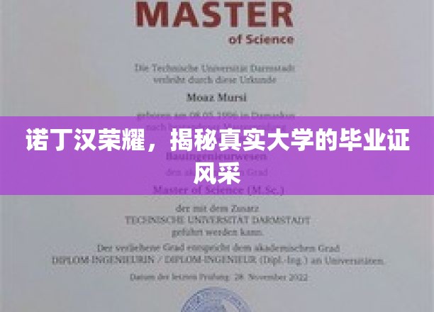 诺丁汉荣耀，揭秘真实大学的毕业证风采