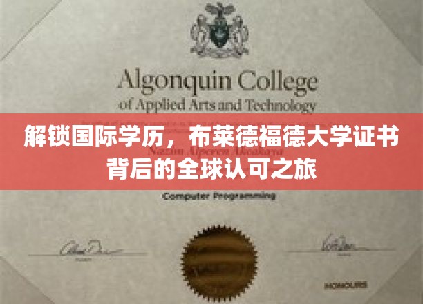 跨越国界，探索布莱德福德大学证书的全球通行证之路