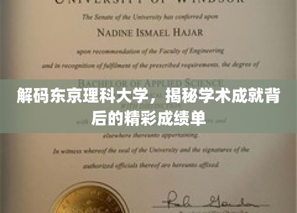 东京理科大学，揭秘辉煌成就背后的学术奥秘