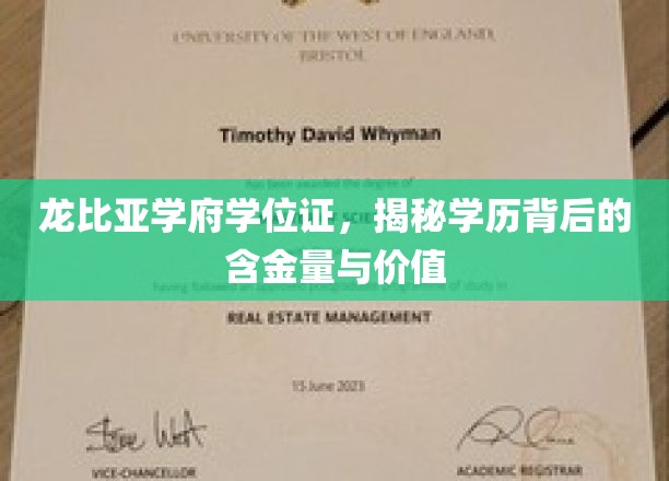 探寻龙比亚学府学位证的秘密，揭秘学历的双重价值与潜力