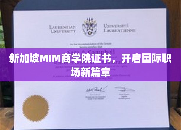 跨国职场通行证，新加坡MIM商学院证书助你飞跃新高度