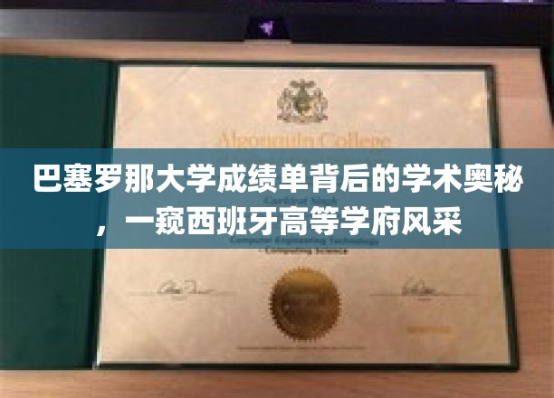 探秘巴塞罗那大学，揭开成绩单背后的学术世界与西班牙高等学府的独特魅力