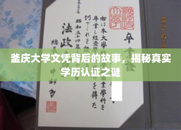 釜庆大学学历之谜，探寻真实文凭背后的传奇故事