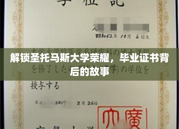 解锁圣托马斯大学荣耀，毕业证书背后的故事