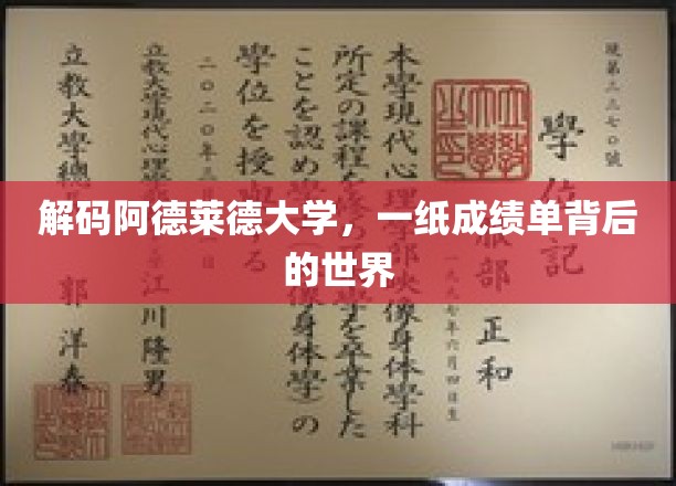 揭秘阿德莱德大学，成绩单背后的无限可能