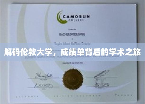 探寻伦敦大学，揭开成绩单背后的学术奥秘之旅