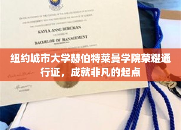 纽约城市大学赫伯特莱曼学院荣耀通行证，成就非凡的起点
