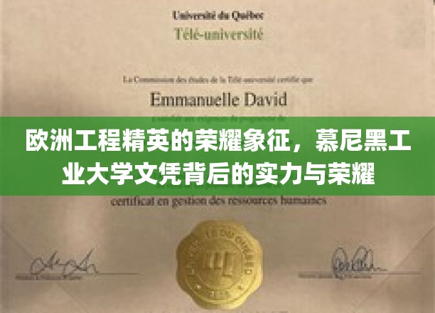 慕尼黑工业大学文凭，欧洲工程精英的荣耀名片，实力与荣誉的双重见证