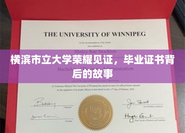 横滨荣耀，揭秘毕业证书背后的大学传奇