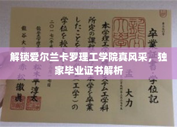 探秘爱尔兰卡罗理工学院，揭秘独特毕业证书背后的故事