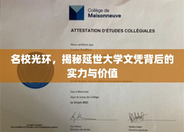 名校荣耀，深度解析延世大学文凭背后的实力与价值