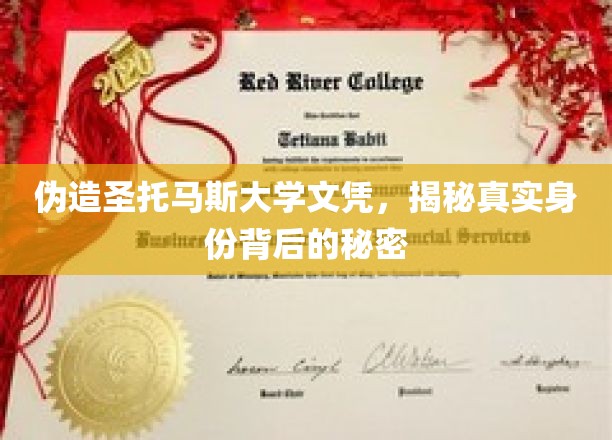 伪造圣托马斯大学文凭，揭秘真实身份背后的秘密