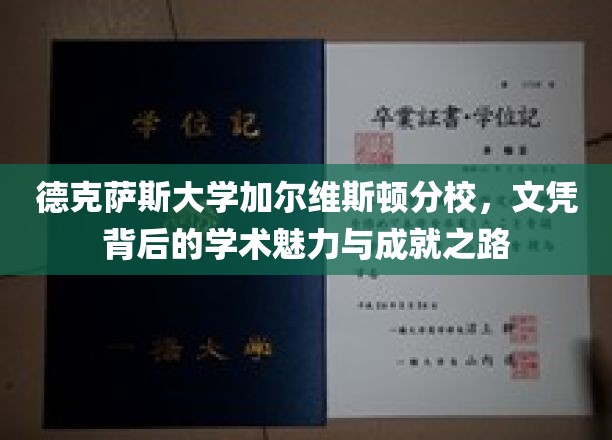 探寻德克萨斯大学加尔维斯顿分校，文凭背后的学术瑰宝与卓越之路