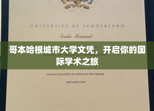 哥本哈根城市大学文凭，开启你的国际学术之旅