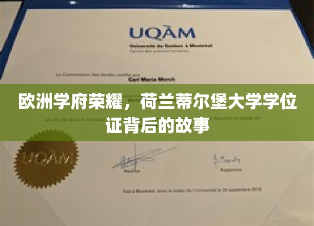 欧洲学术璀璨之星，揭秘蒂尔堡大学学位证的传奇之路