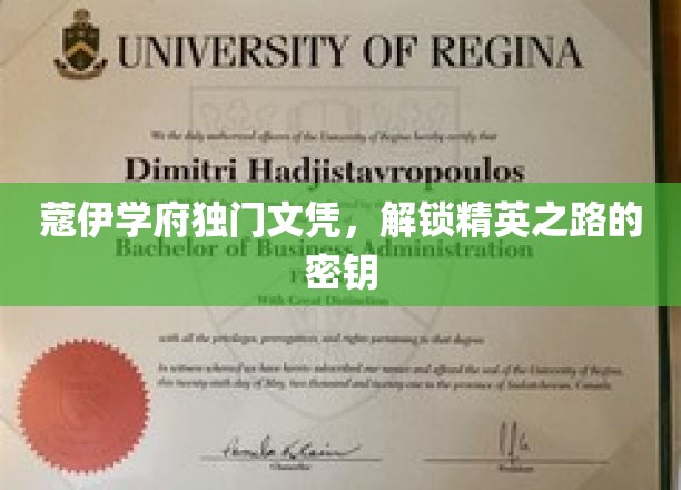 蔻伊学府独门文凭，开启精英之路的密钥