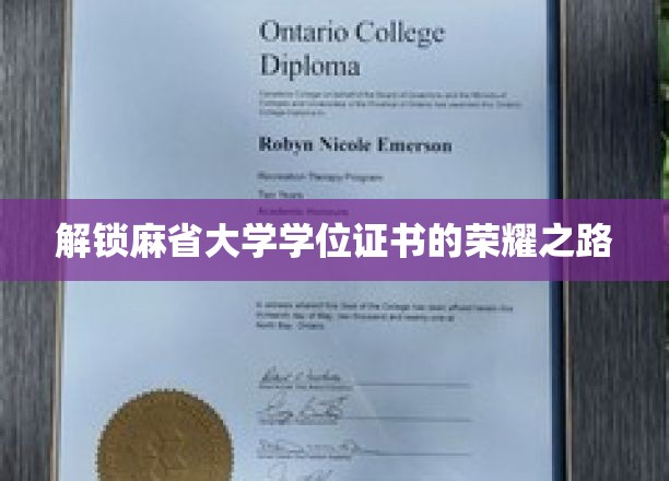 探寻麻省大学荣耀学位的神秘之旅