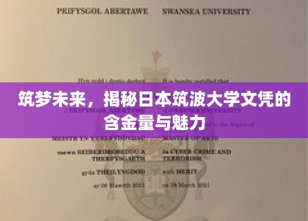 未来之桥，揭秘日本筑波大学文凭的卓越价值与无限可能