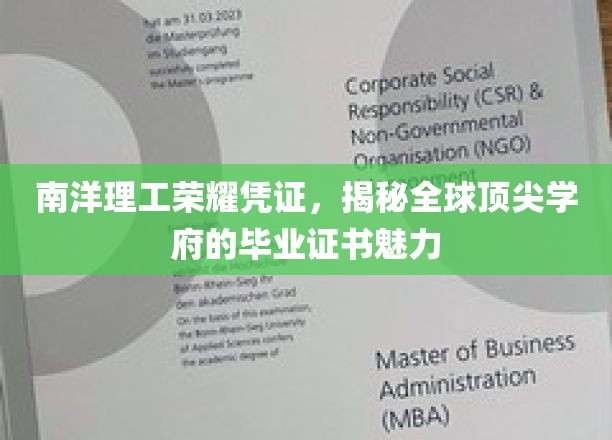 解码南洋理工，全球精英学府的证书魅力揭秘