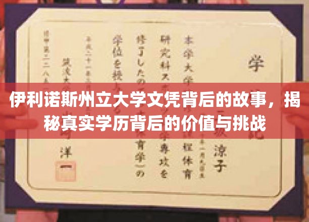 伊利诺斯州立大学文凭之谜，探寻学历价值与成长之路
