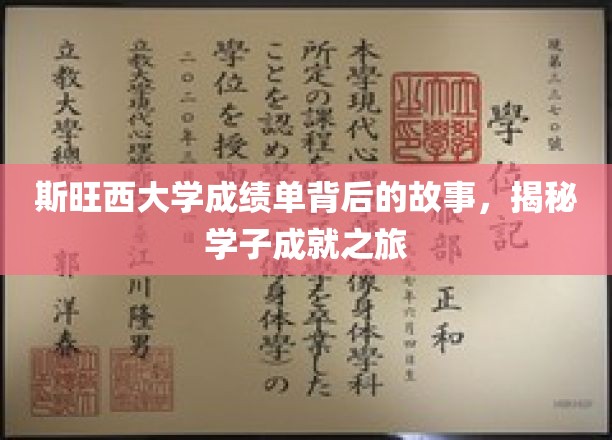 探寻斯旺西学子辉煌背后的成绩单传奇
