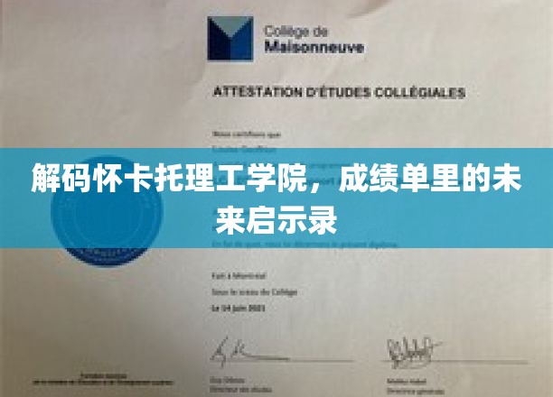 解码怀卡托理工学院，成绩单里的未来启示录