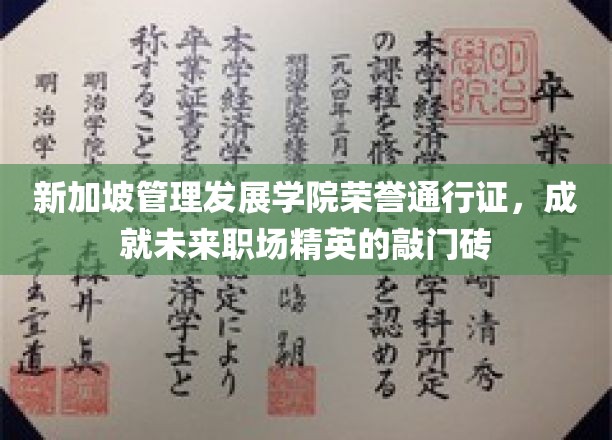 新加坡管理发展学院荣誉通行证，成就未来职场精英的敲门砖