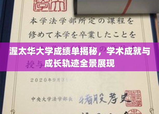 渥太华大学成绩单深度解析，全景展现学术成就与成长轨迹