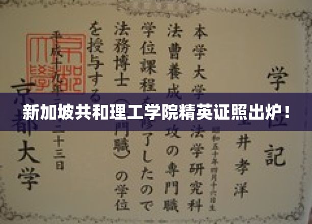 新锐人才集结！新加坡共和理工学院高含金量证书大放异彩