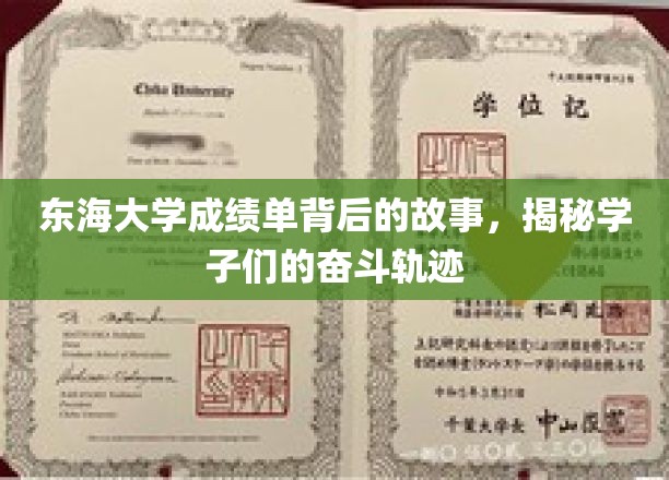 东海大学成绩单背后的故事，揭秘学子们的奋斗轨迹