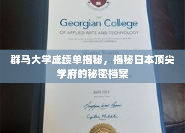 群马大学成绩单揭秘，一探日本顶尖学府的秘密档案