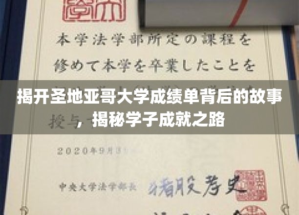 解码圣地亚哥大学成绩单，学子成就背后的传奇之路