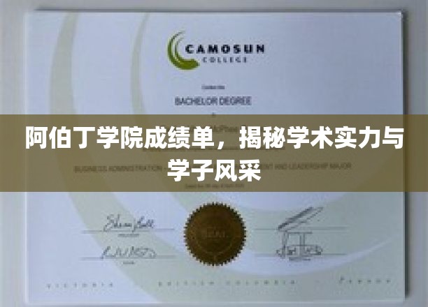 阿伯丁学院成绩单，揭秘学术实力与学子风采