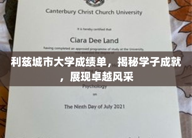 利兹城市大学成绩单，揭秘学子成就，展现卓越风采