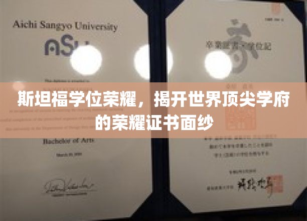 斯坦福学位荣耀，揭开世界顶尖学府的荣耀证书面纱