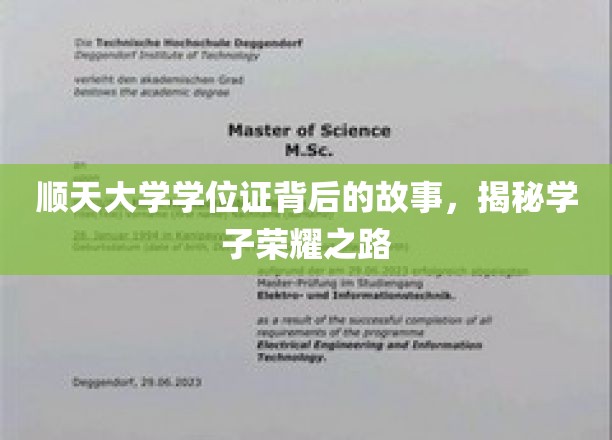顺天学子荣耀篇章，一纸学位证背后的奋斗传奇