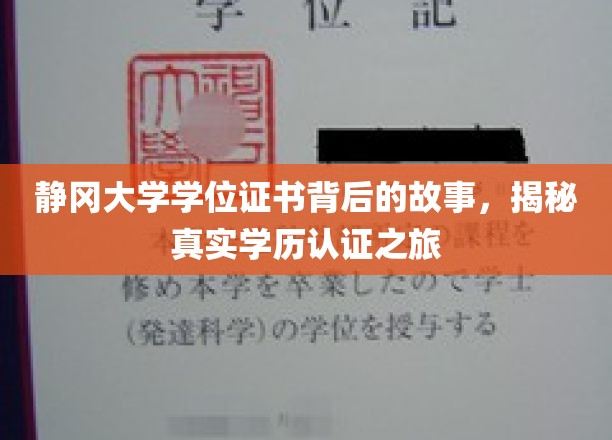 静冈大学证书之谜，一场探索学历认证真谛的旅程