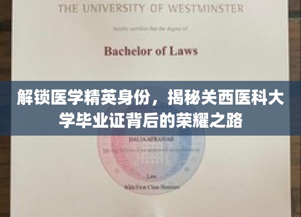 关西医科大学毕业证，揭开医学精英背后的辉煌历程