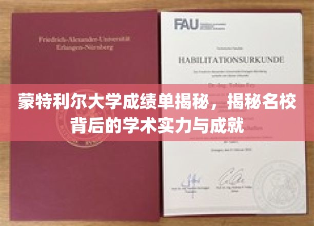 蒙特利尔大学成绩单揭秘，揭秘名校背后的学术实力与成就