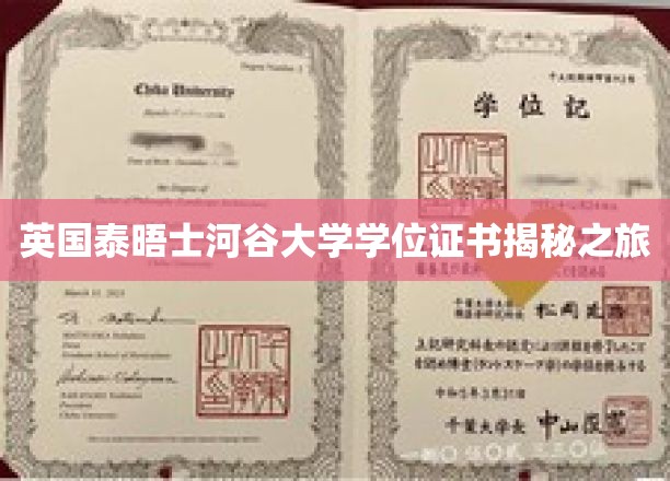 探索英国泰晤士河谷大学学位证书背后的奥秘