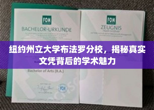 纽约州立大学布法罗分校，揭秘真实文凭背后的学术魅力