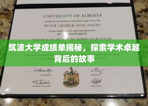 筑波大学成绩单揭秘，探寻学术卓越背后的故事