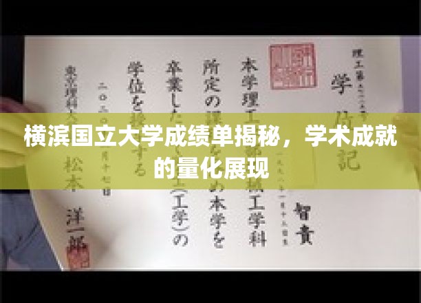 横滨国立大学成绩单揭秘，学术成就的量化展现